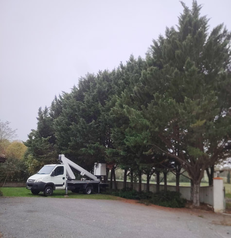 En savoir plus sur : Elagage