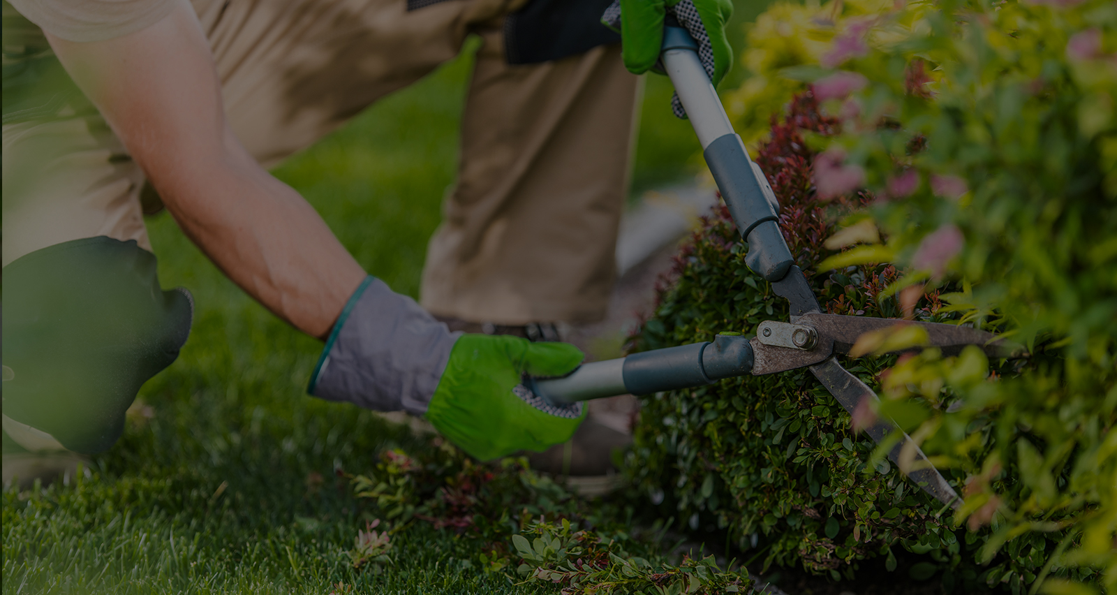 En savoir plus sur : Actualités