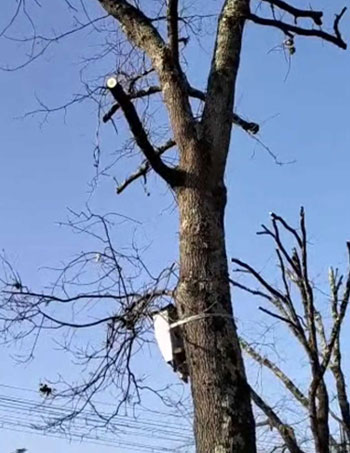 En savoir plus sur : Nos réalisations