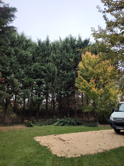 En savoir plus sur : Abattage d’une haie de sapinettes jamais taillée