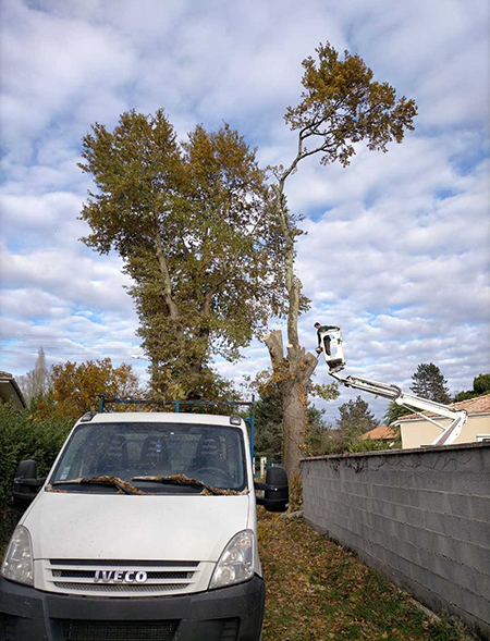 En savoir plus sur : Abattage d’un chêne malade