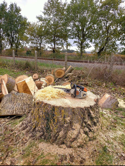 En savoir plus sur : Abattage d’un peuplier dangereux