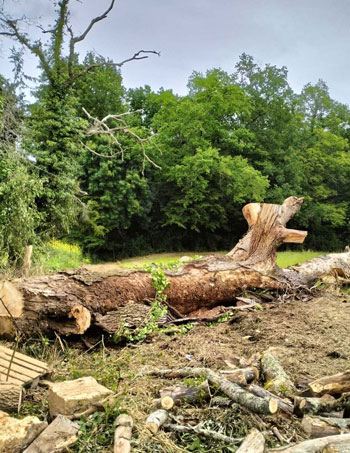 En savoir plus sur : Nos réalisations