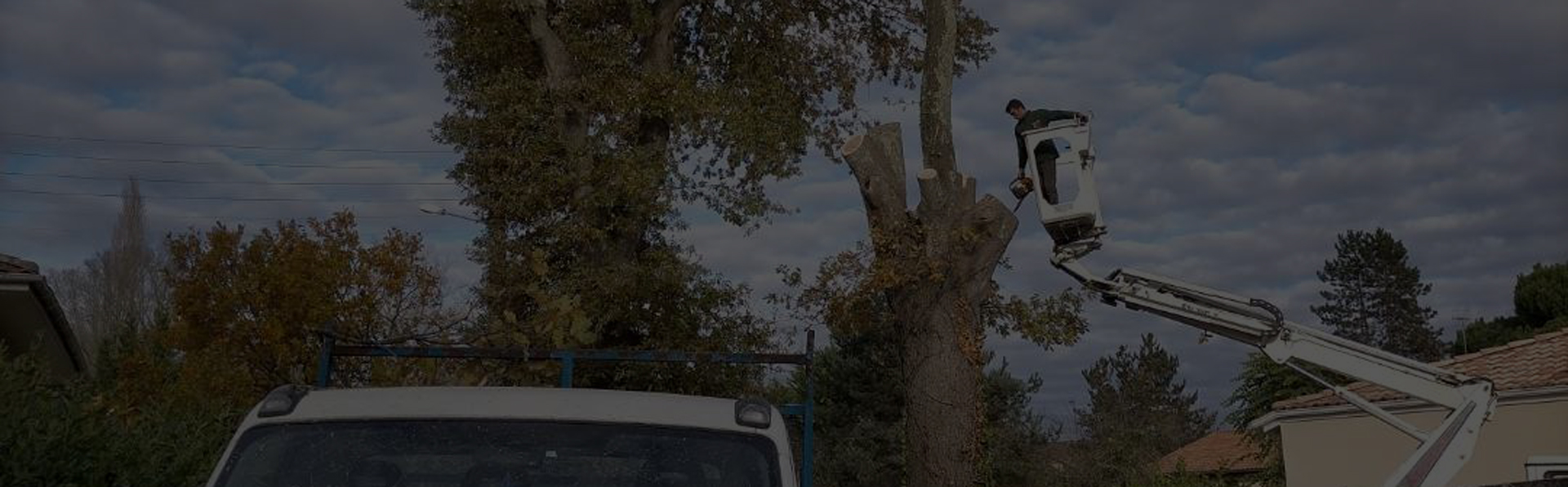 En savoir plus sur : Actualités