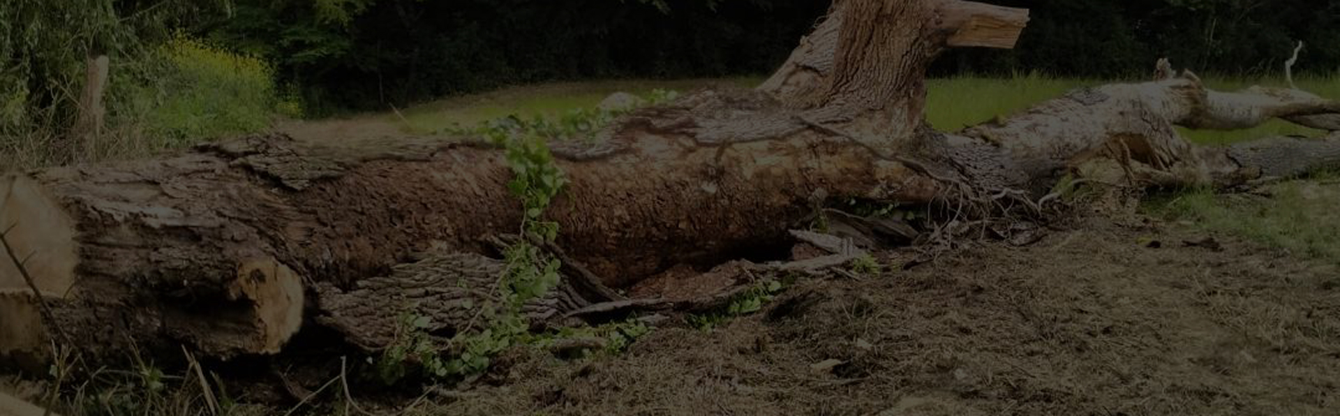 En savoir plus sur : Actualités