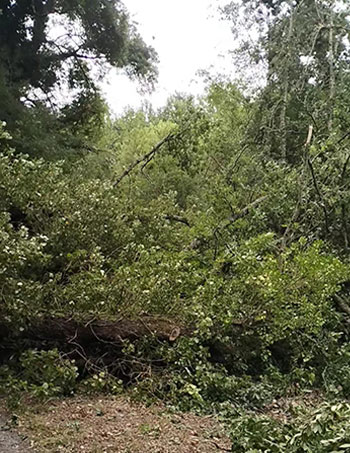 En savoir plus sur : Nos réalisations