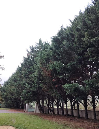 En savoir plus sur : Nos réalisations