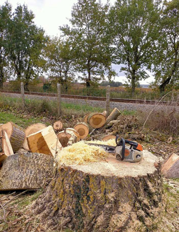 En savoir plus sur : Nos réalisations