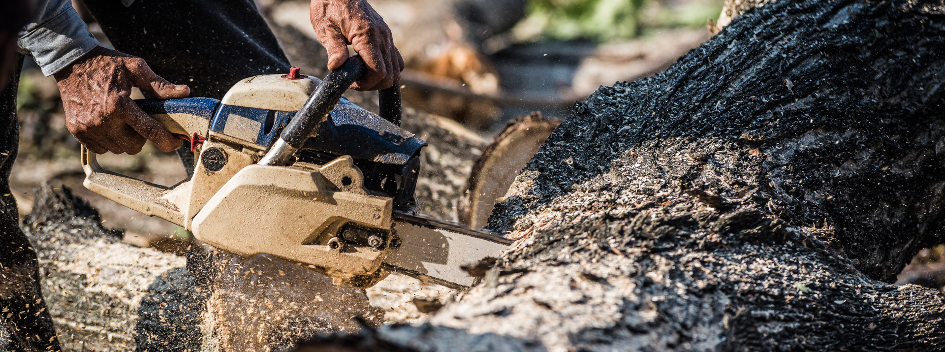 En savoir plus sur : Actualités