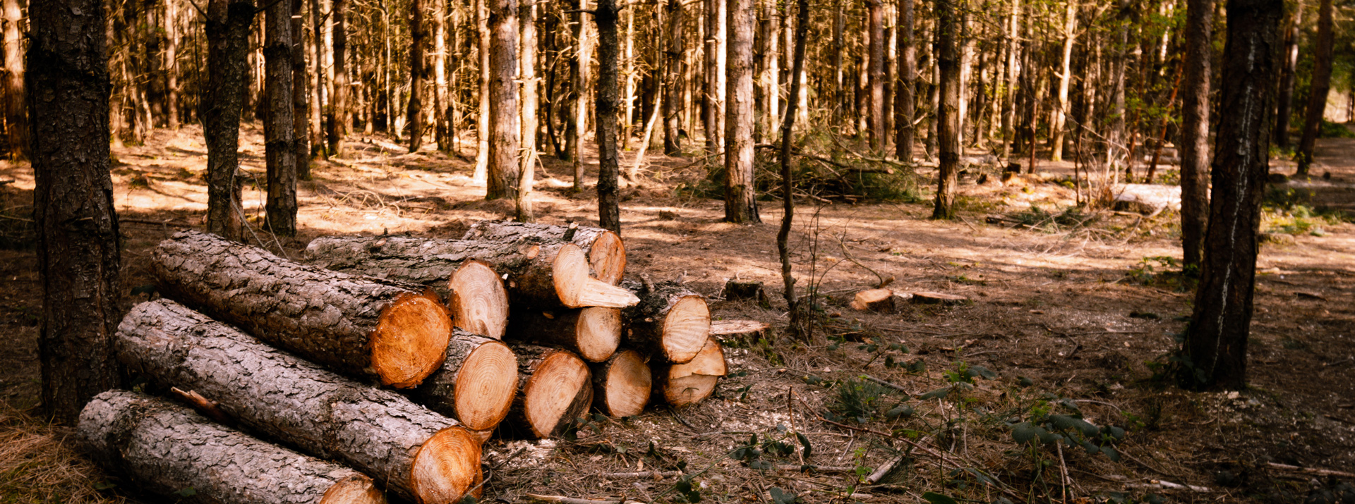 En savoir plus sur : Actualités