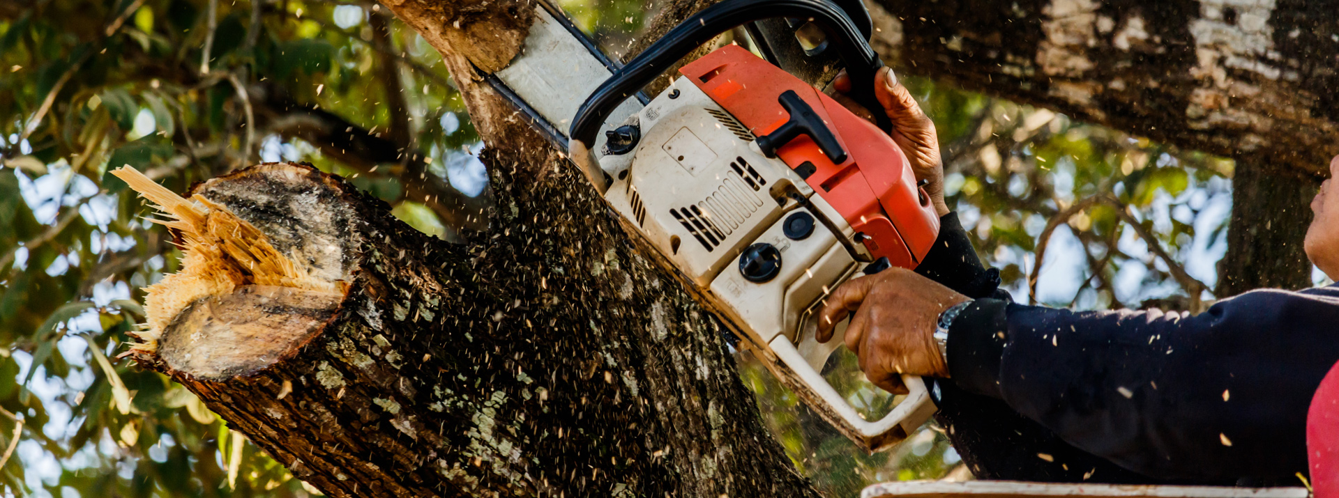 En savoir plus sur : Actualités