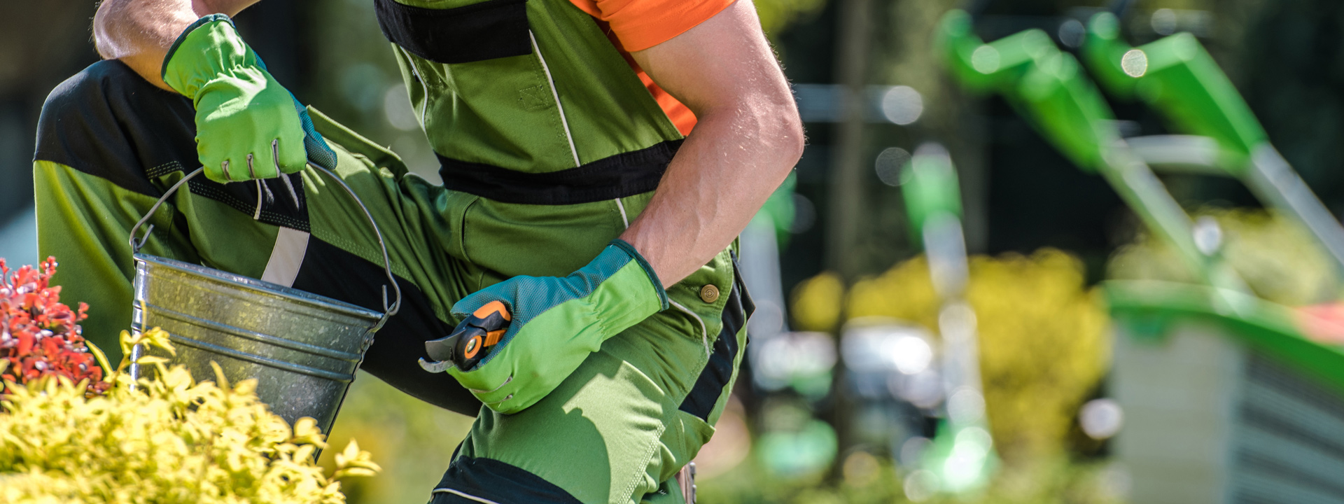 En savoir plus sur : Actualités