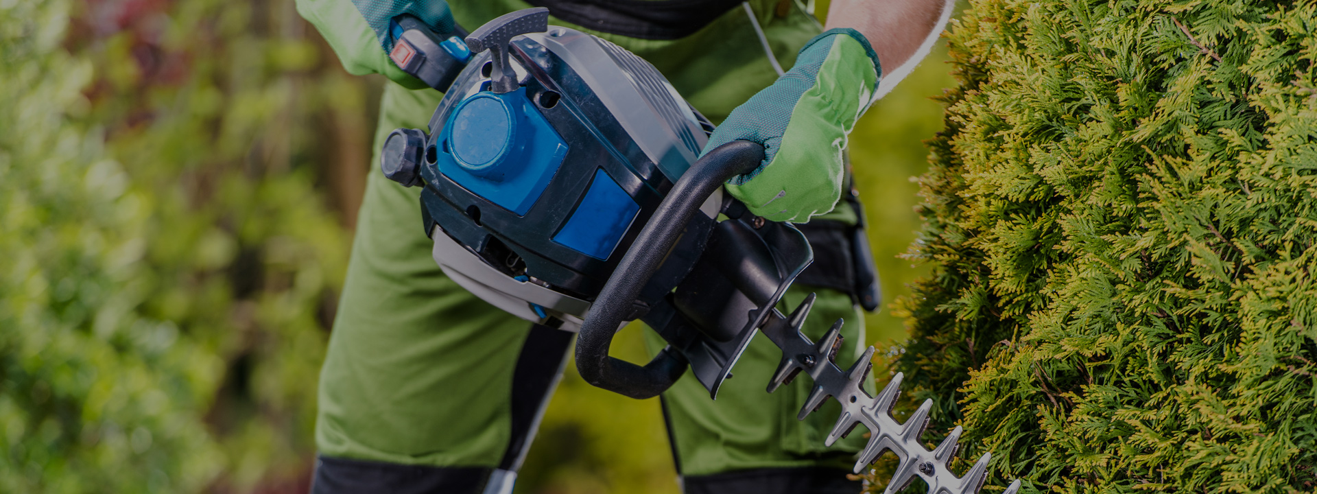 En savoir plus sur : Actualités