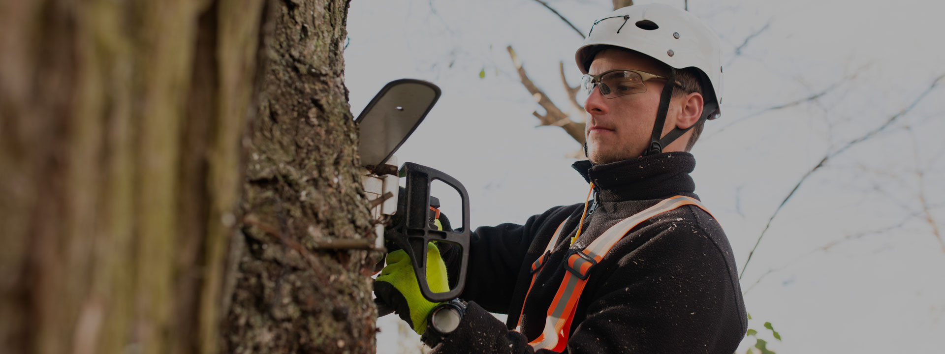 En savoir plus sur : Actualités